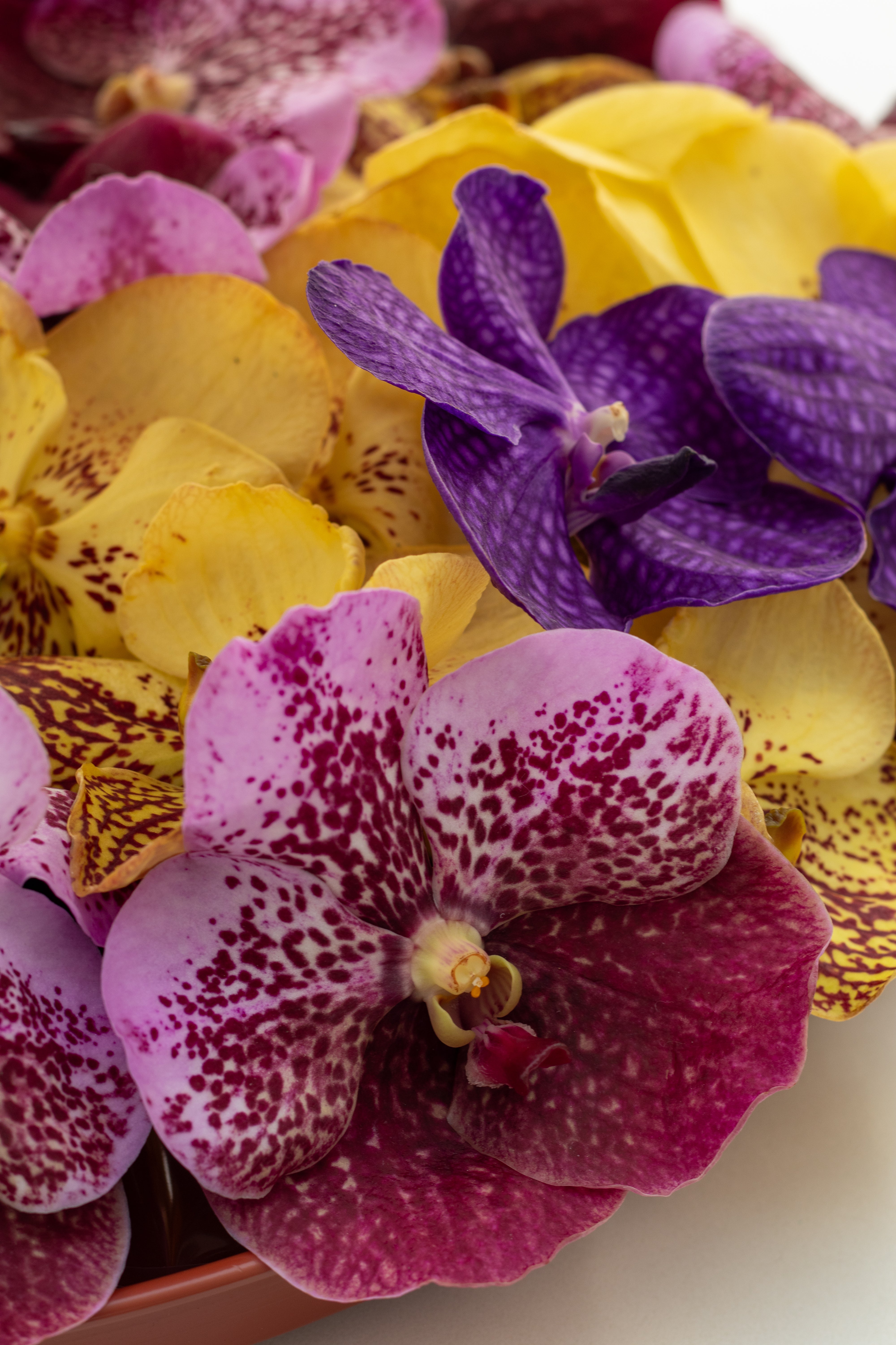 Stand with Chocolate & Flowers