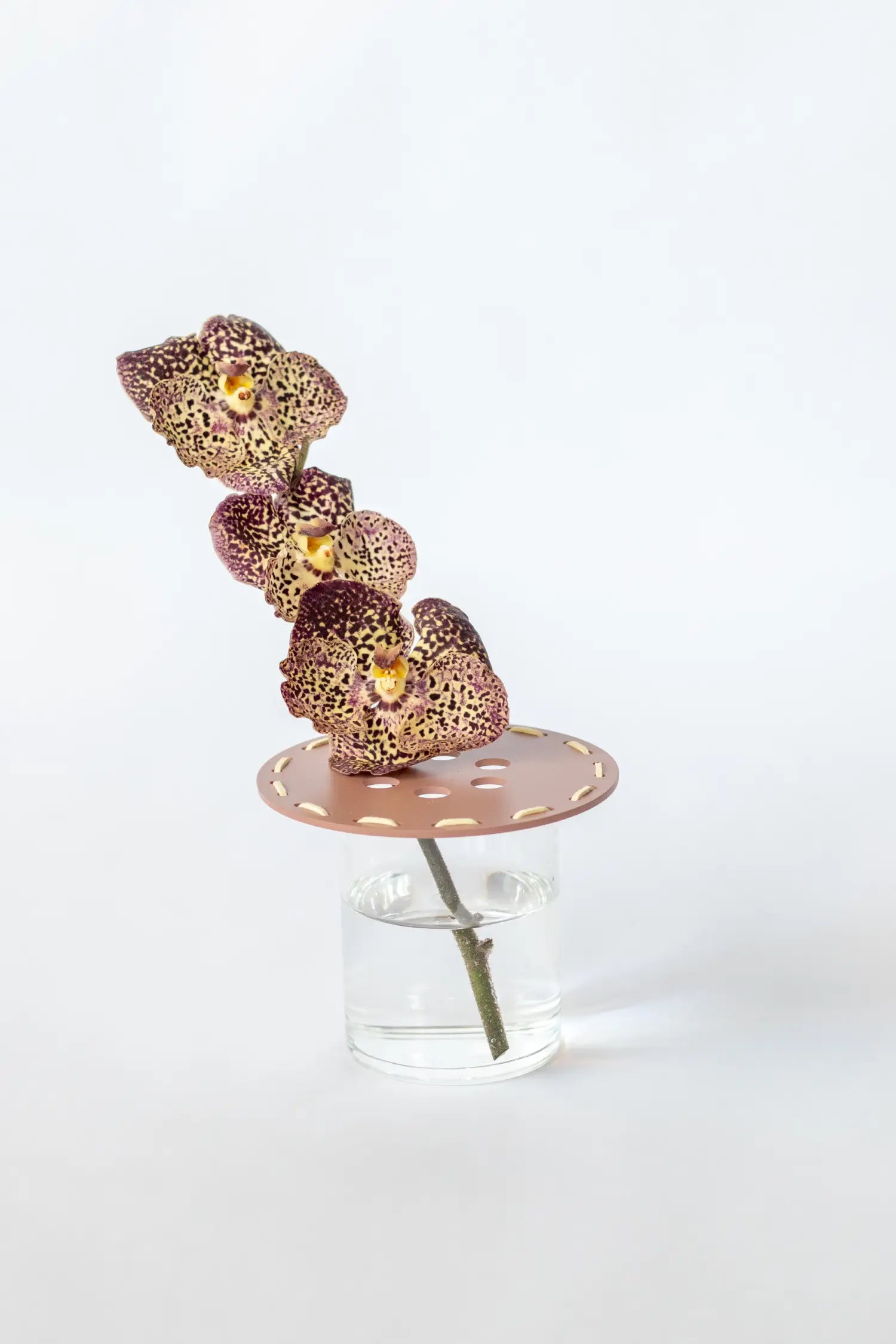 Stictched Tray w/ Vases & Vanda