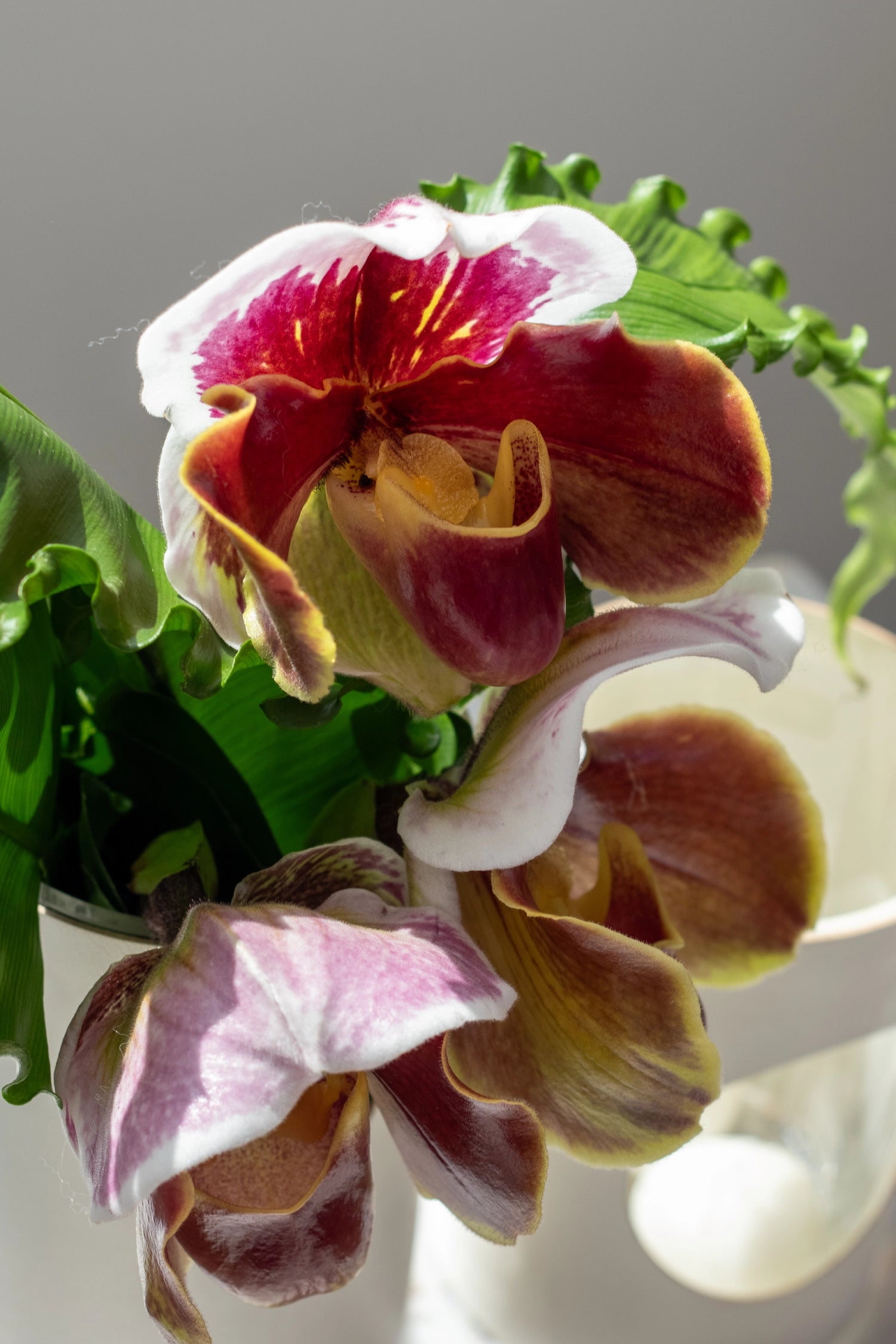 Leather Vases & Jars