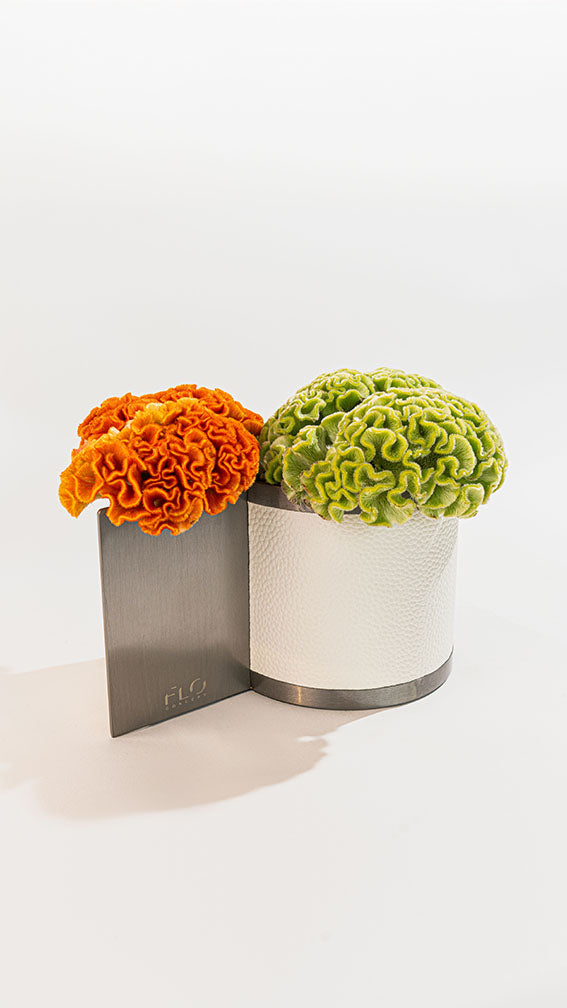 Dual Vases Large & Small w/ Celosia Flowers