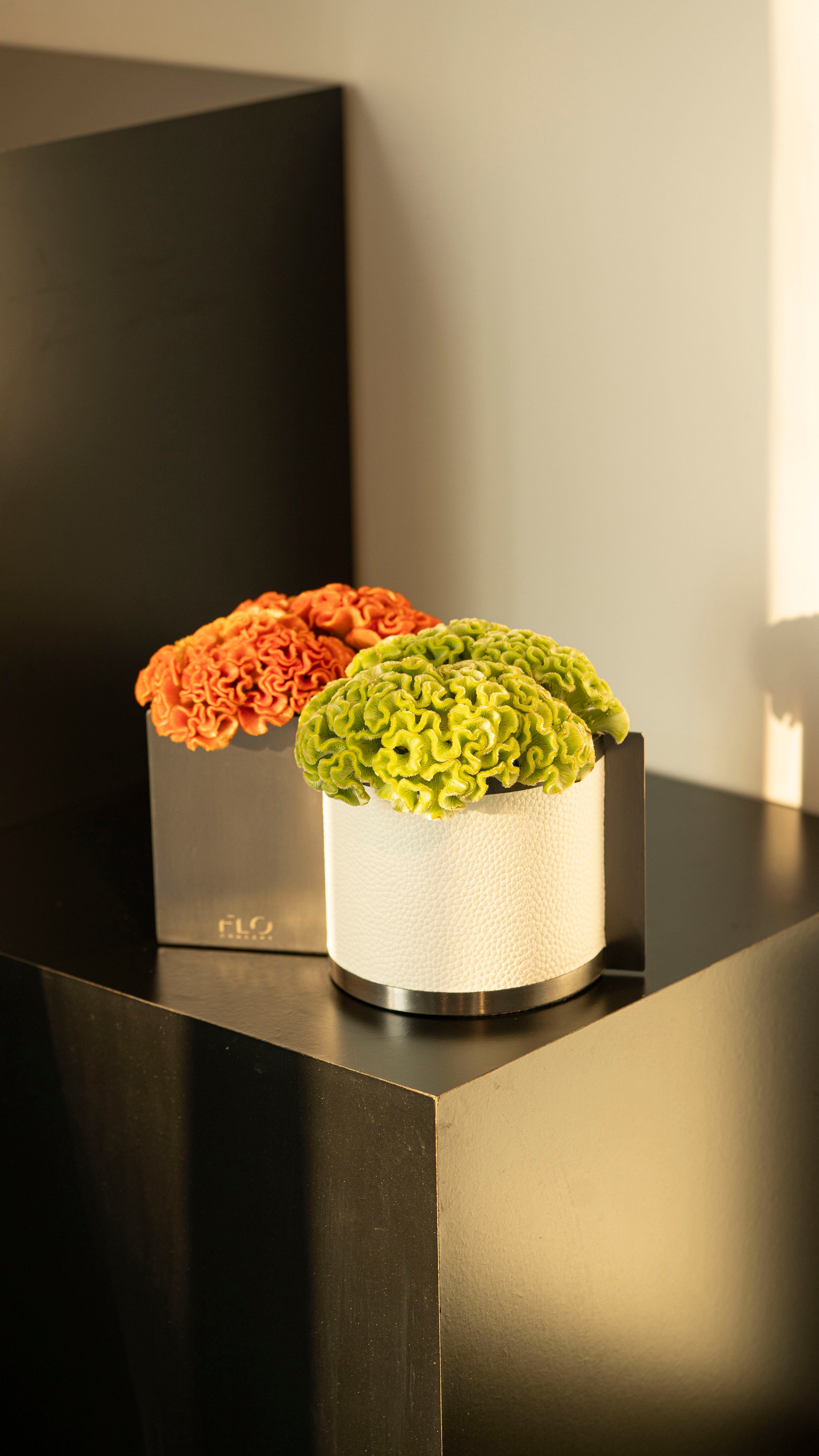 Dual Vases Large & Small w/ Celosia Flowers