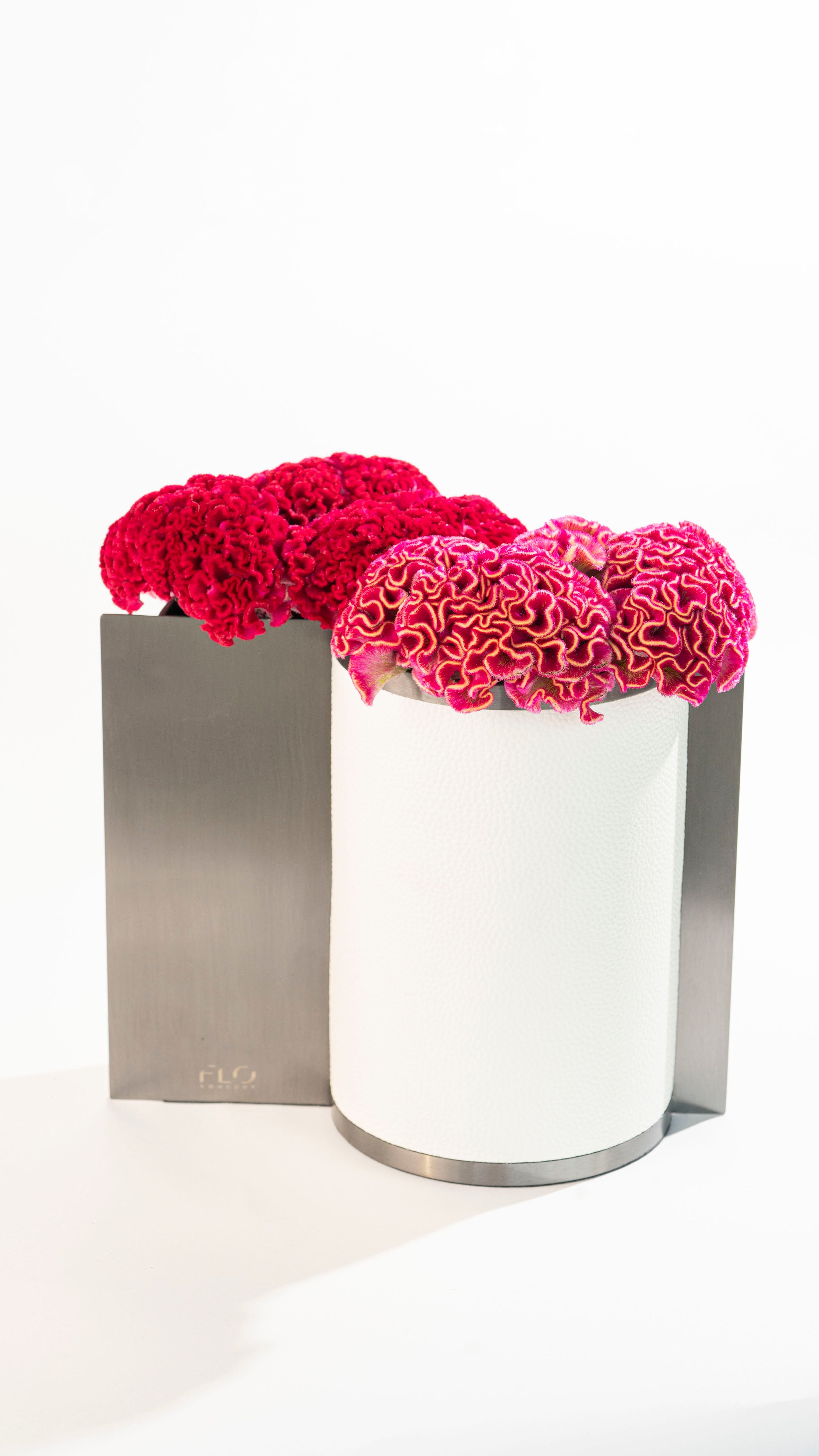 Dual Vases Large & Small w/ Celosia Flowers