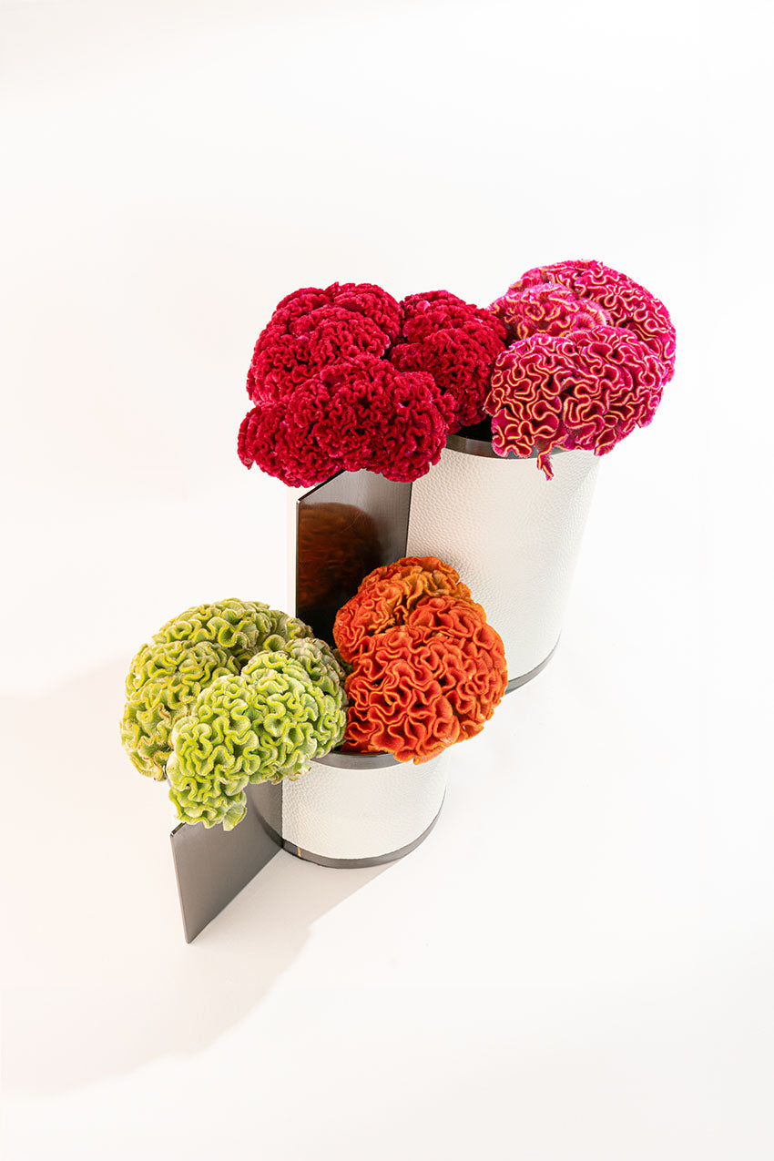 Dual Vases Large & Small w/ Celosia Flowers