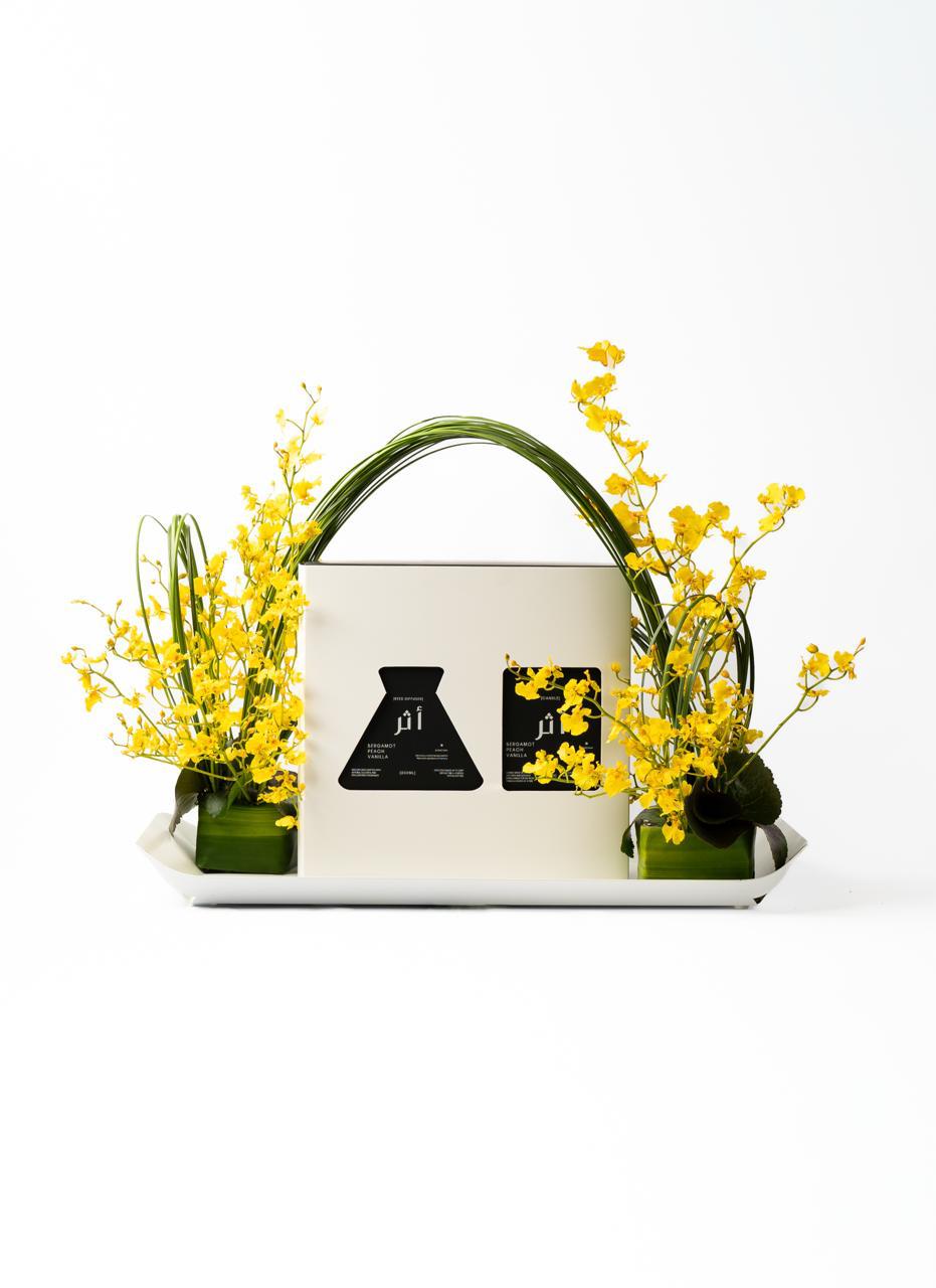 Oncidium Elegance Tray